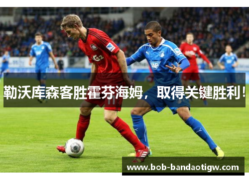 勒沃库森客胜霍芬海姆，取得关键胜利！