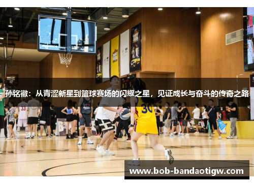 孙铭徽：从青涩新星到篮球赛场的闪耀之星，见证成长与奋斗的传奇之路