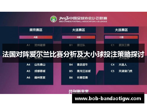 法国对阵爱尔兰比赛分析及大小球投注策略探讨